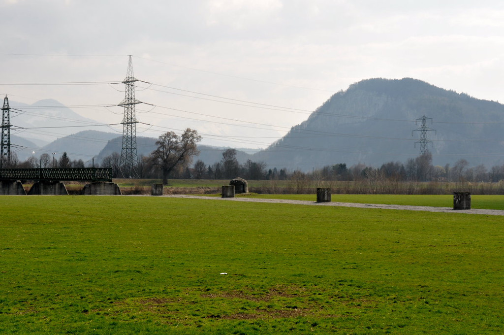 Rheinbr__cke09.JPG
