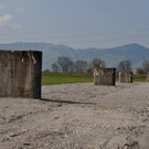 Rheinbr__cke20.JPG
