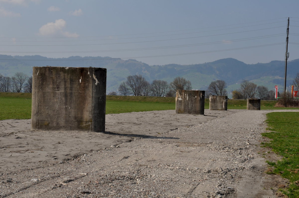 Rheinbr__cke20.JPG