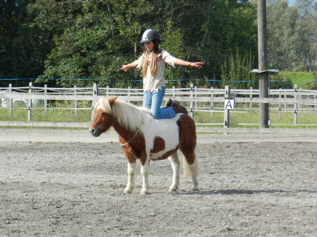 ponyclub er__ffnung Sept 2011 040.jpg