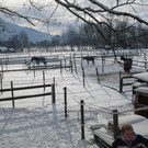 stall2011-01 026.jpg