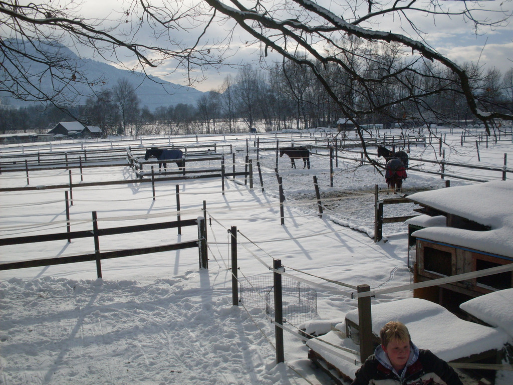stall2011-01 026.jpg