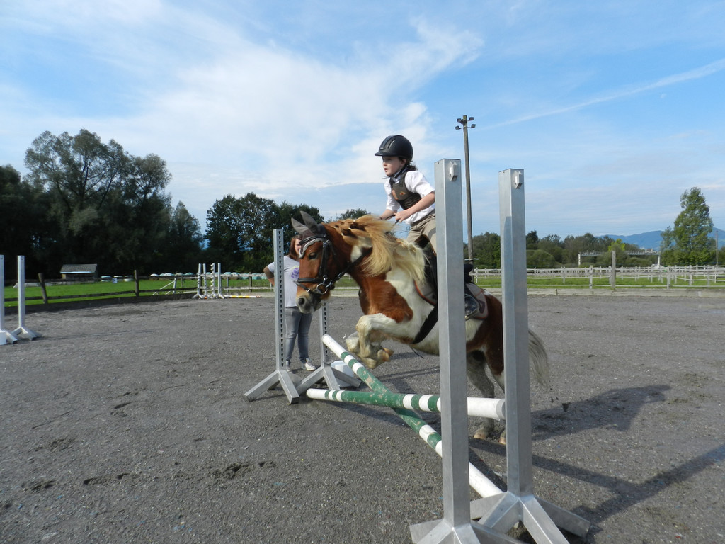 turnier 2011 1358.jpg