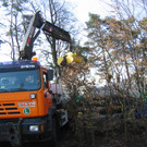 IMG_0056_JPG-1332799609