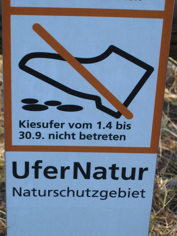 IMG_0030_JPG-1332799565