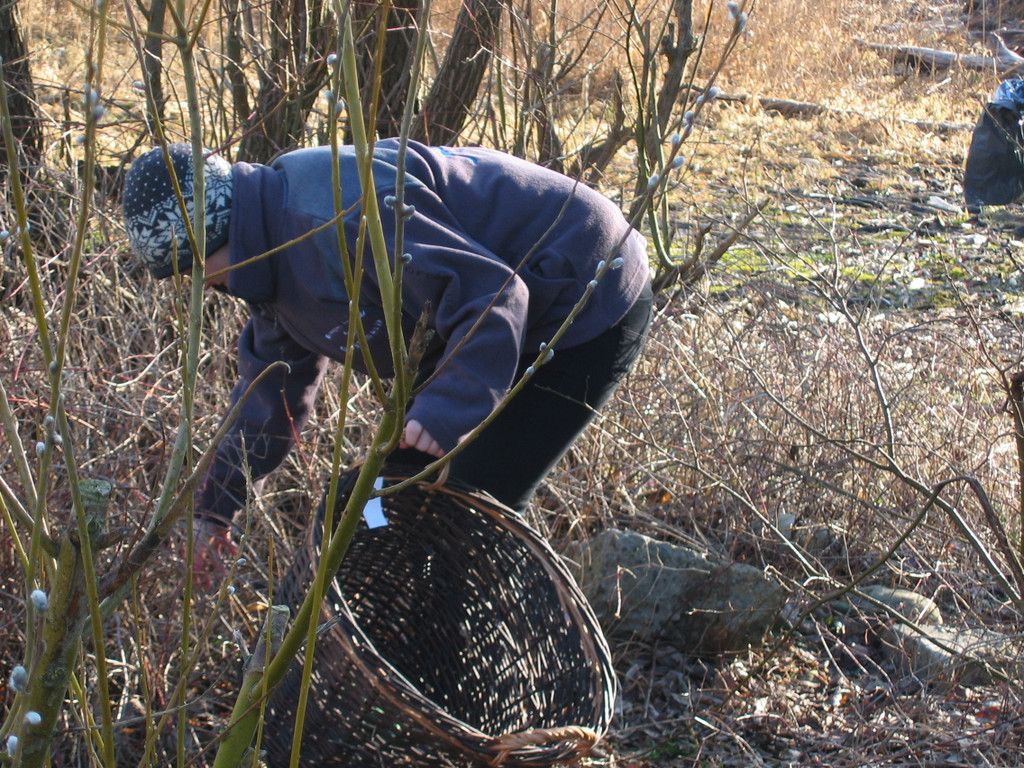 IMG_0028_JPG-1332799555