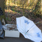 IMG_0076_JPG-1332799658