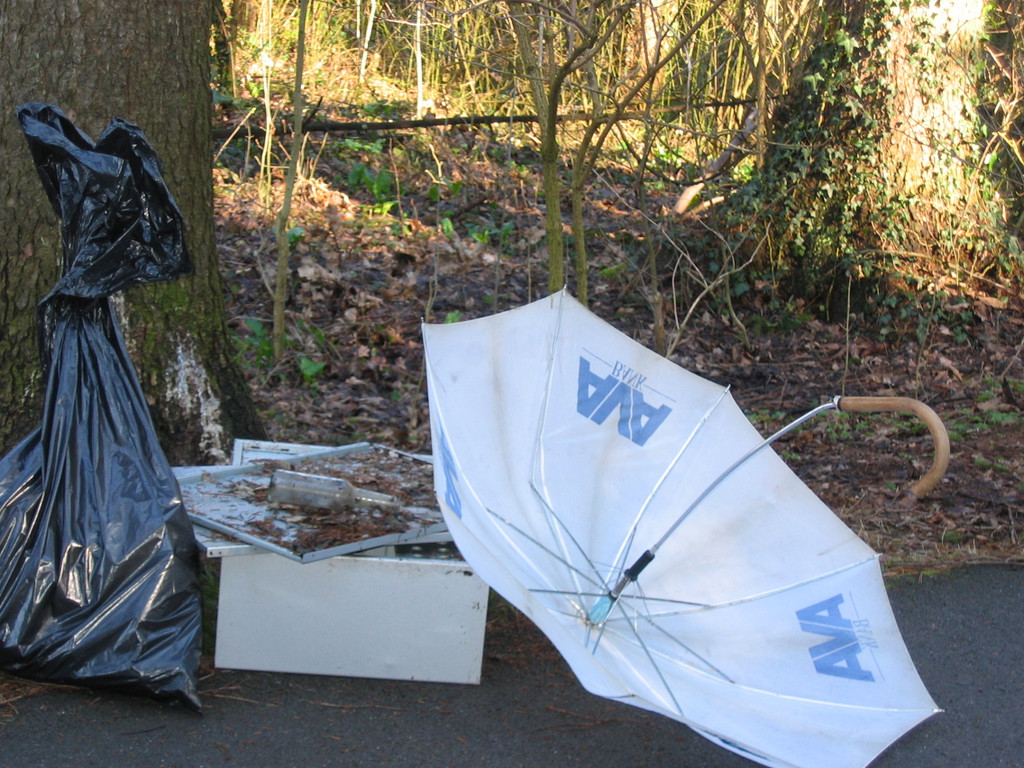 IMG_0076_JPG-1332799658