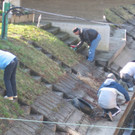 IMG_0050_JPG-1332799588