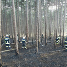 2012_03_25_waldbrand_marktpiesting_02.jpg