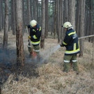 2012_03_25_waldbrand_marktpiesting_04.jpg
