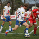 VB FK - Dornb_  2012 481_jpg-1332836361