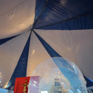 IBD0492-20120327.jpg