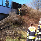 Foto3.JPG