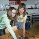 DSC04782.JPG