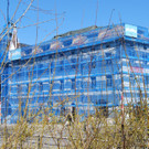 DSC_0036-2.jpg
