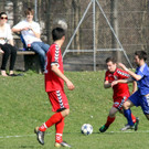 Die besten Bilder aus der Landesliga