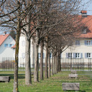 DSC_2924.jpg