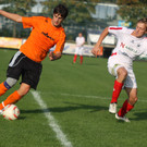Rankl -  R 2011 314_jpg-1333032396