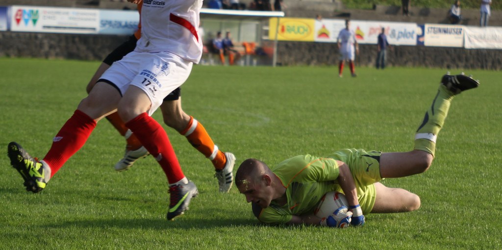 Rankl -  R 2011 343_jpg-1333032423
