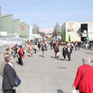 10_jpg-1333033214.jpg