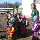 Bilder: Kindergarten besuchen Zicklein