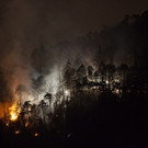 Waldbrand in Feldkirch Leserreporter