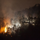 WaldbrandG__fis20120329_005-014.jpg