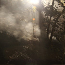 IMG_8975.JPG