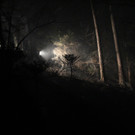 IMG_8992.JPG