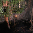 IMG_8995.JPG
