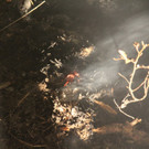 IMG_8996.JPG