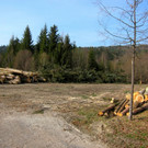KOE_Sportplatz Erdbewegungen 12_jpg-1333099444