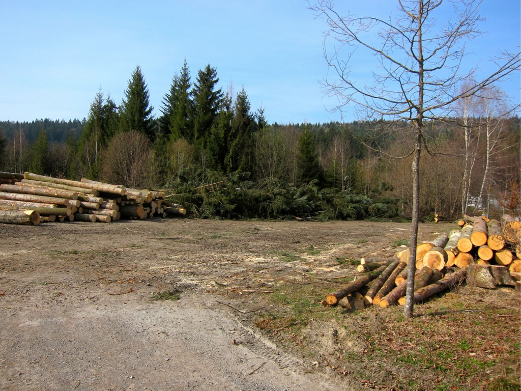 KOE_Sportplatz Erdbewegungen 12_jpg-1333099444
