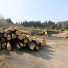 KOE_Sportplatz Erdbewegungen 13_jpg-1333099451