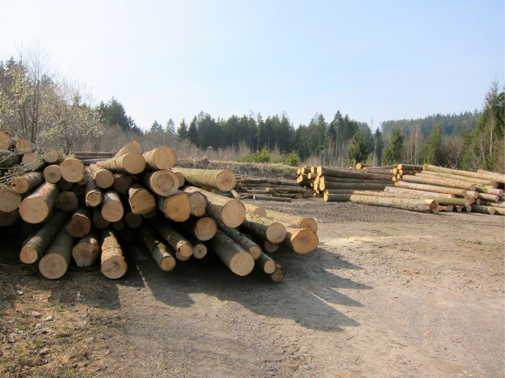 KOE_Sportplatz Erdbewegungen 13_jpg-1333099451