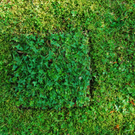 9_ Severin Weiser_ St__ckerln.JPG