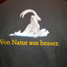 29_3_2012 fr__hjahrmesse dornbirn63.jpg