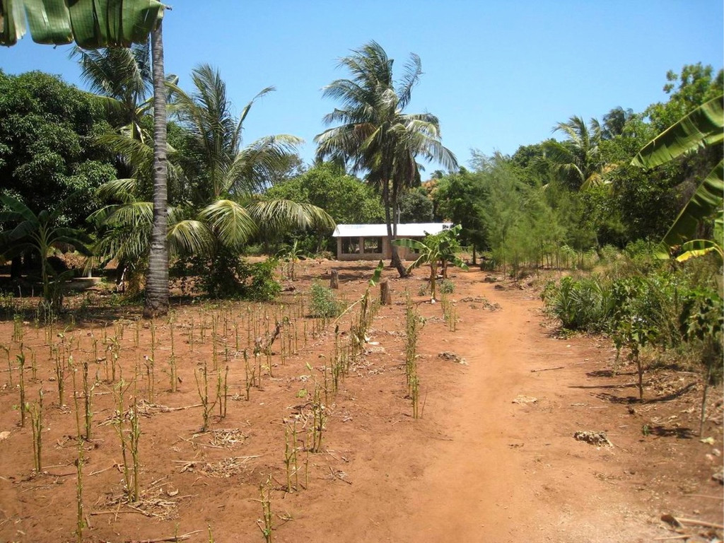 KOE_H__hnerfarm Kenia 5_jpg-1333139450