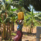 KOE_H__hnerfarm Kenia 18_jpg-1333139555