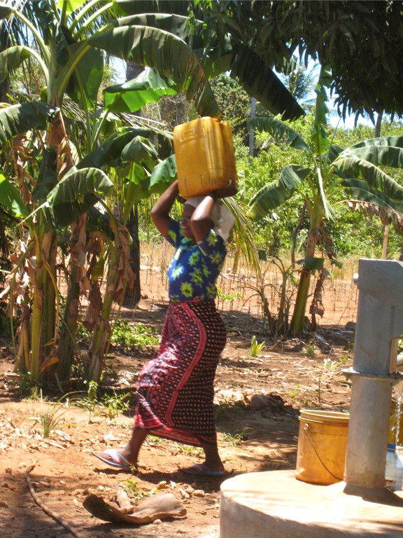 KOE_H__hnerfarm Kenia 18_jpg-1333139555