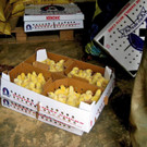 KOE_H__hnerfarm Kenia 19_jpg-1333139562