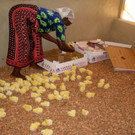 KOE_H__hnerfarm Kenia 20_jpg-1333139569