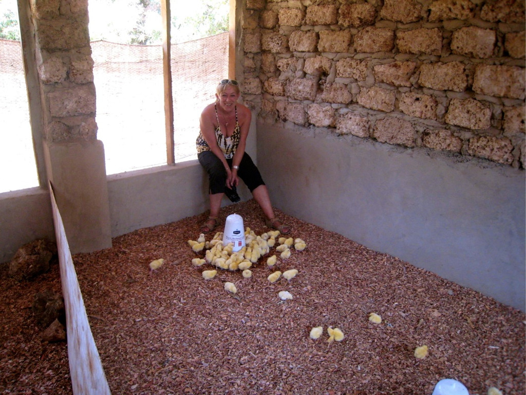 KOE_H__hnerfarm Kenia 24_jpg-1333139597