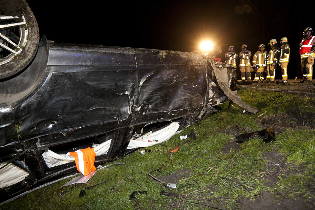 VU Lust_Audi-Baum02.JPG