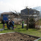 DSCN0174_JPG-1333184639