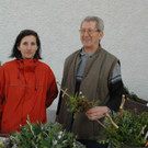 Palmbuschen_VHotz _4__JPG-1333203815