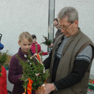 Palmbuschen_VHotz _6__JPG-1333203851