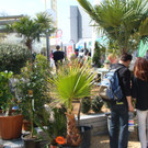 DSC00439.JPG