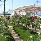 DSC00440.JPG
